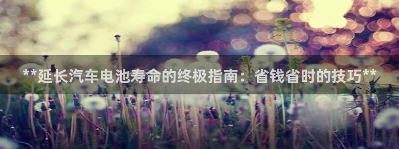 优发国际合并到哪里了