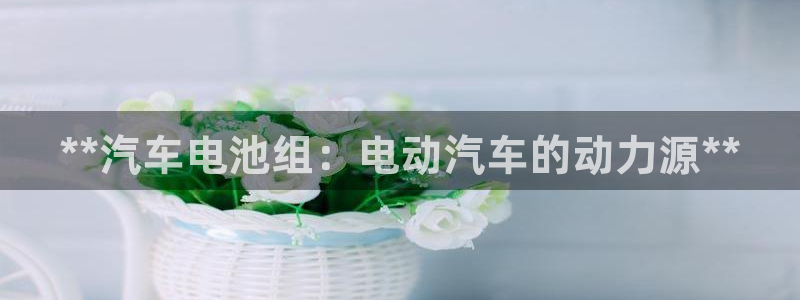 优发国际网官网