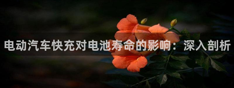 优发国际平台APP