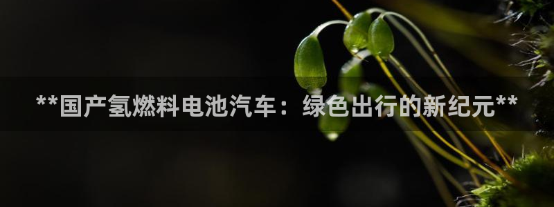优发国际提现不了