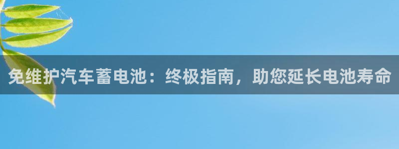 优发国际youfa966