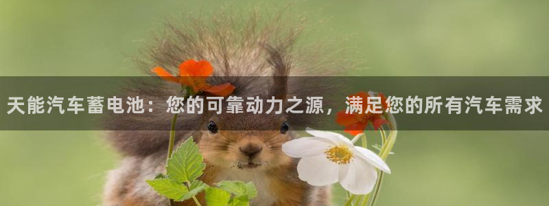 优发国际官方网平台电话