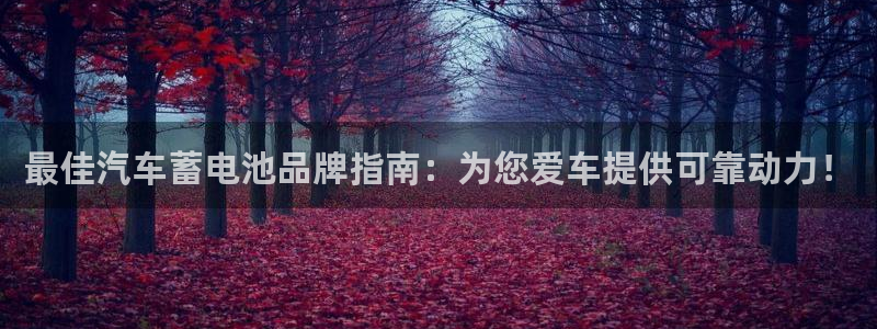 优发国际app官网下载安装手机版