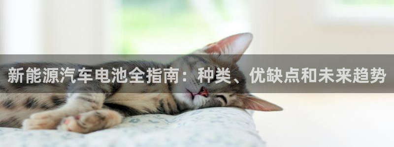 优发国际网官