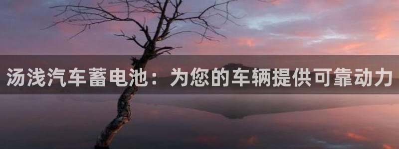 优发国际是什么