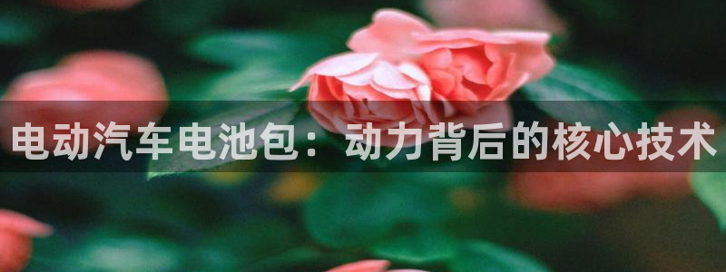 优发国际多少钱