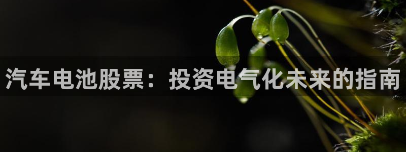 优发国际平台u8怎么样