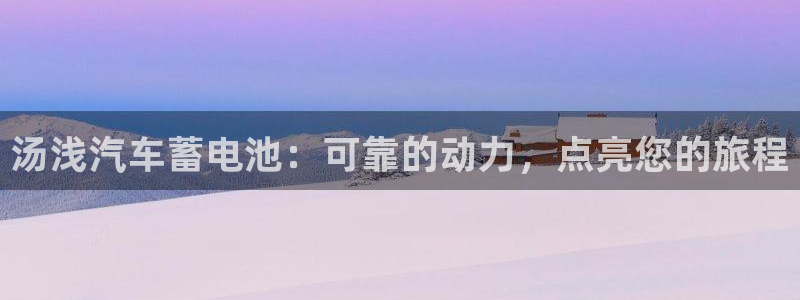 优发国际平台u8是什么公司