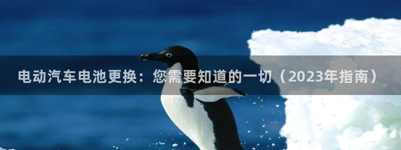 优发国际手机版唯一官网下载