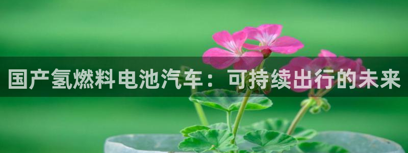 优发国际手机版下载