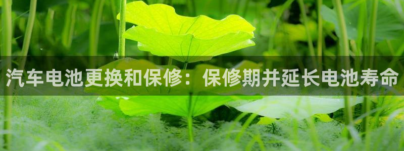 优发国际手机客户端下载安卓