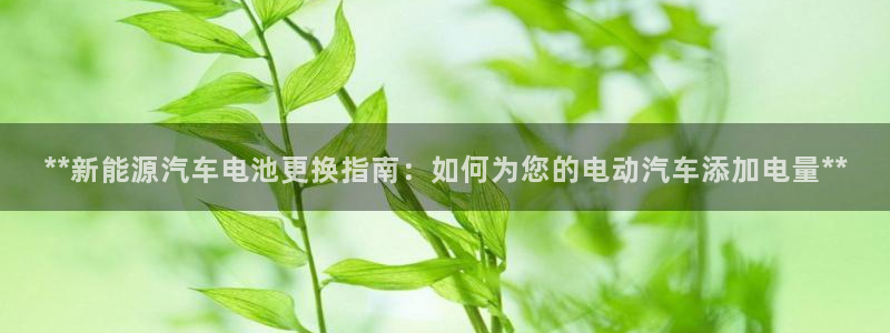 优发国际网站多少
