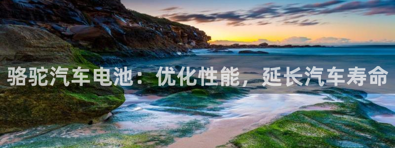 优发国际手机版下载安装