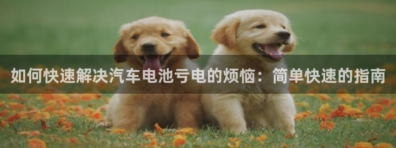 优发国际安卓版下载安装苹果