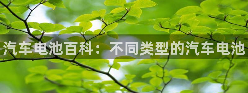 优发国际手机版官网下载