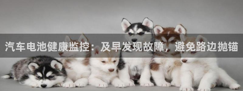 优发国际手机客户端app