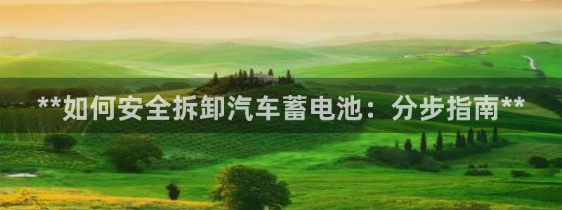 优发国际手机客户端下载安装