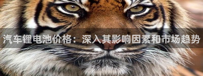 优发国际客服联系方式电话