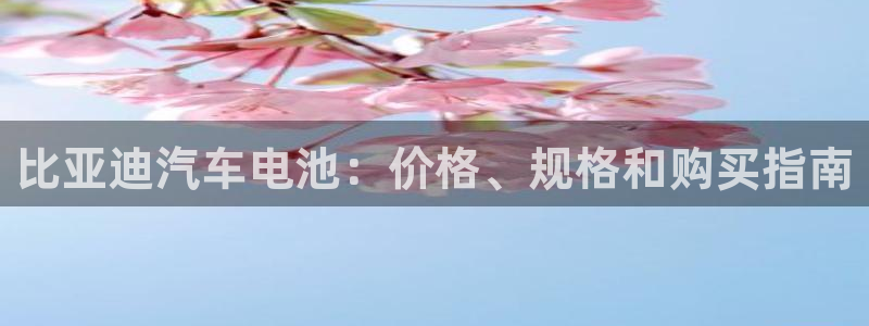 优发国际手机版唯一官网下载