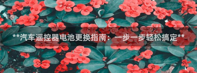 优发国际注册账号