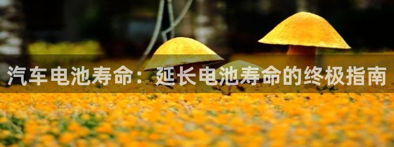 优发国际官网下载app