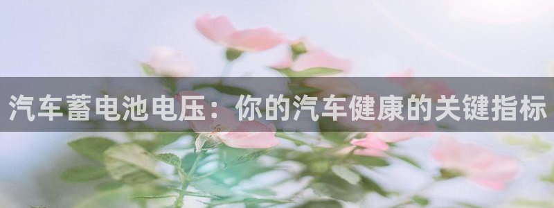 优发国际安卓版下载安装