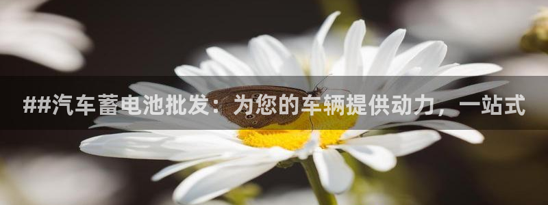 优发国际登录app