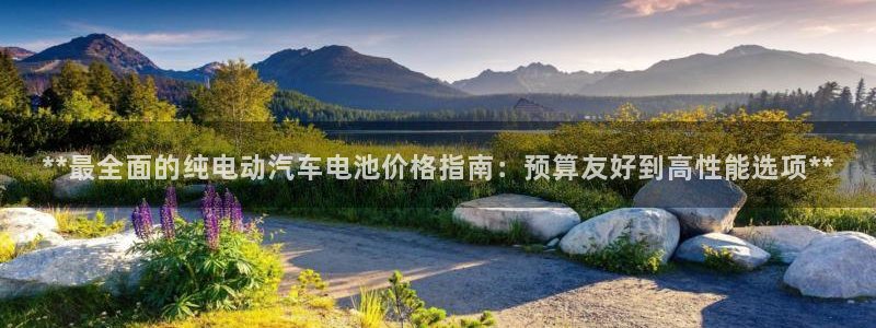 优发国际youfa