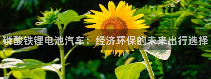 优发国际官方网平台是正品吗
