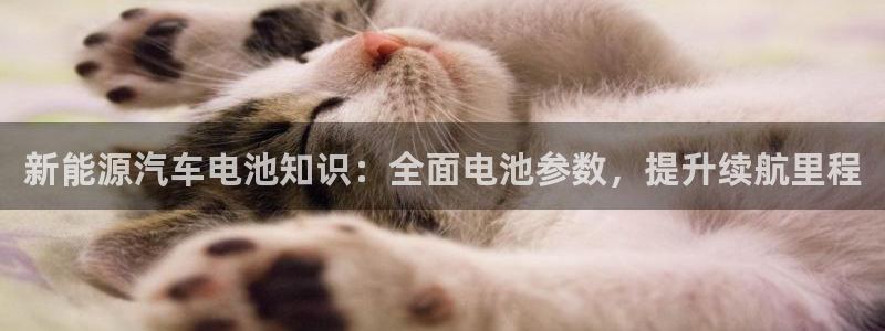 优发国际官网下载