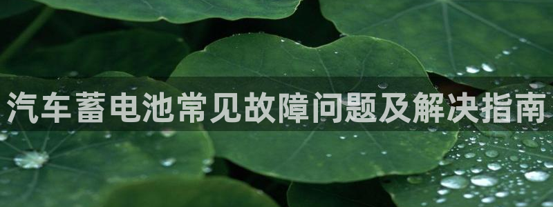 优发国际手机客户端下载官网