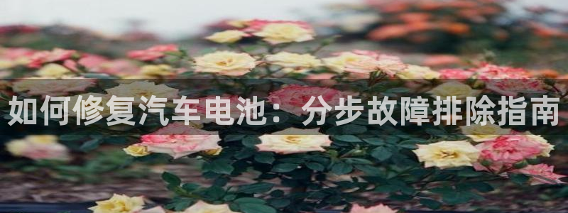 优发国际手机版客户端官网
