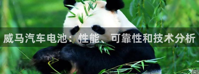 优发国际手机app下载安装苹果