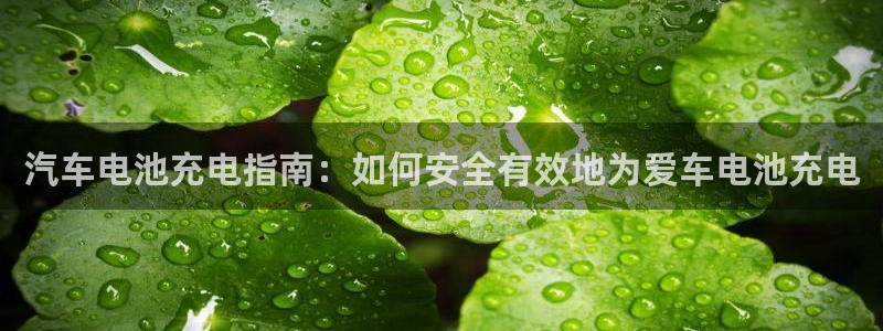 优发国际安卓版下载安装