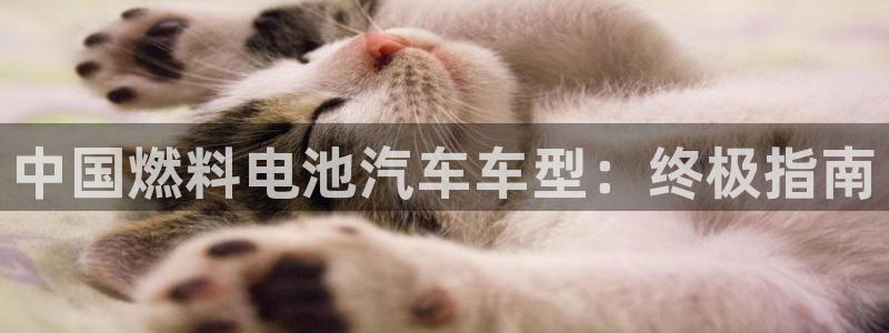 优发国际集团股份有限公司是国企吗