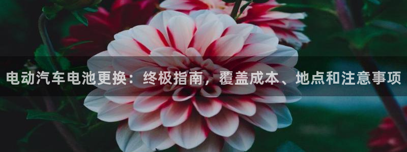 优发国际官网入口app下载