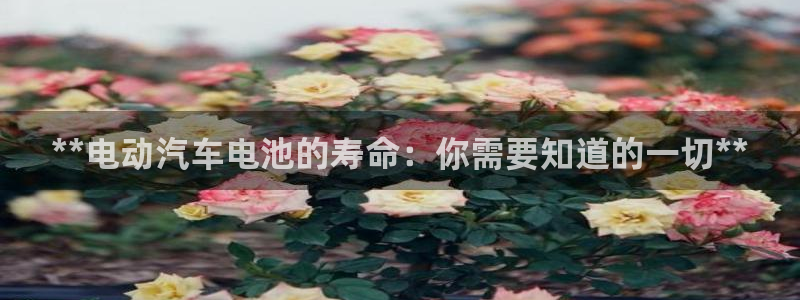 优发国际手机安装登录失败