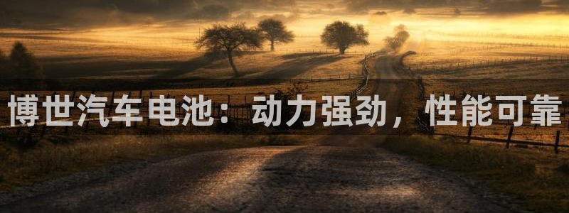 优发国际是大平台吗是真的吗