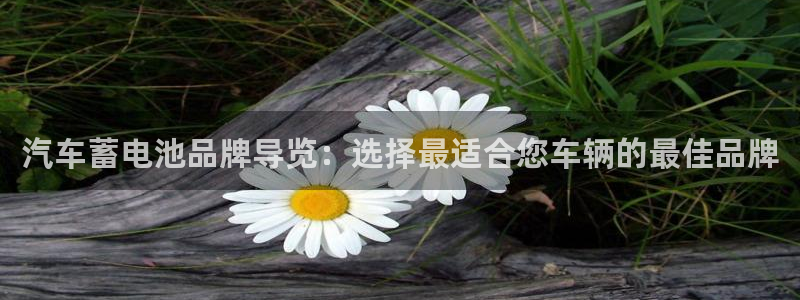 优发国际官网网站