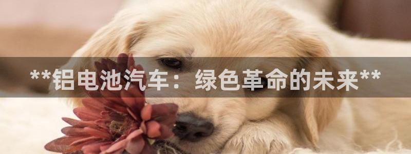 优发国际这个平台怎么样啊