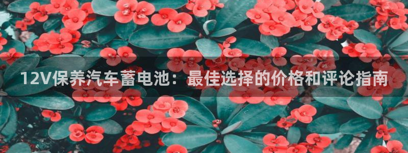 优发国际手机客户端下载安装苹果
