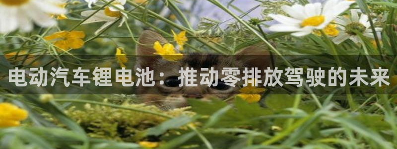 优发国际官网下载苹果版
