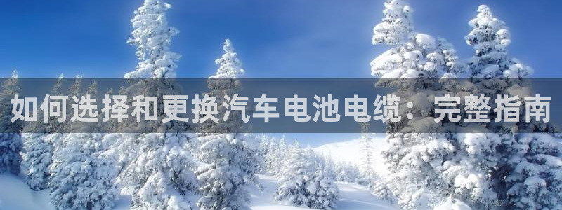优发国际app官网下载安装手机版