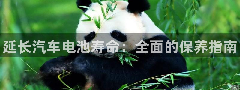 优发国际手机客户端