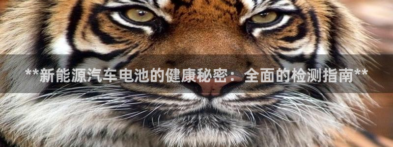 优发国际youfa966