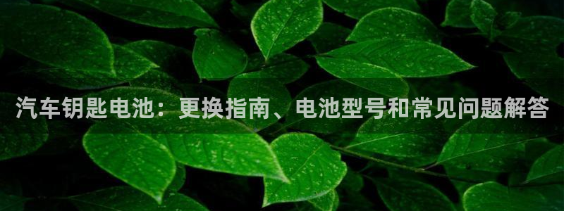优发国际bob