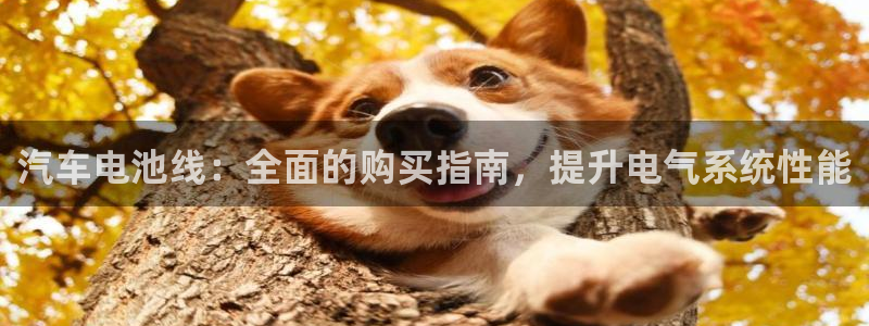 优发国际手机版网站