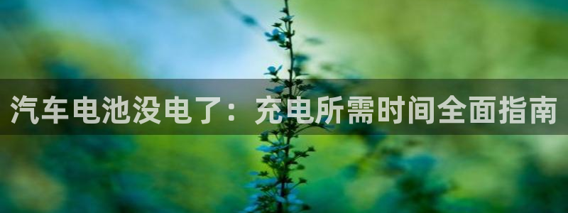 优发国际手机版客户端下载