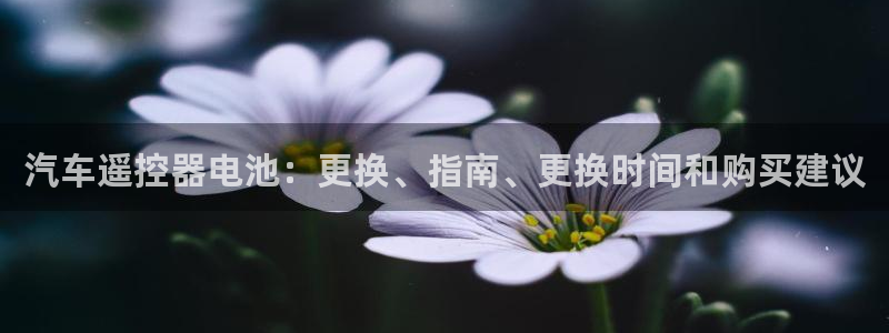 优发国际官网值是多少