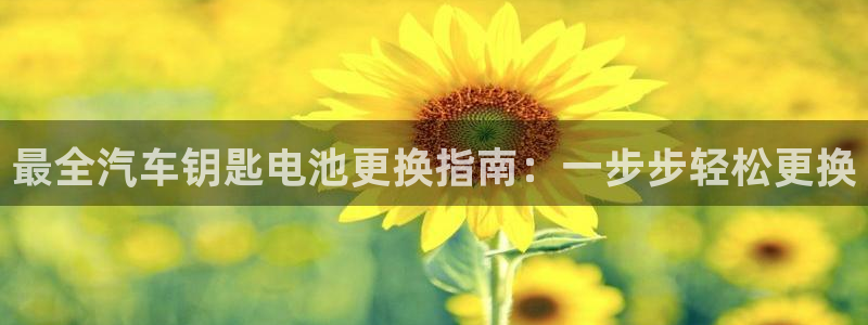 优发国际手机app下载安装最新版
